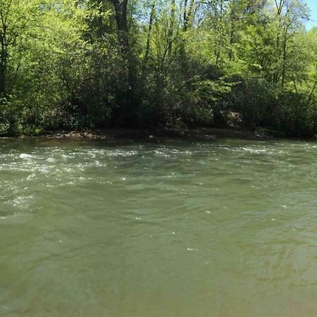 Cabin Fever On Cartecay River إليجاي المظهر الخارجي الصورة