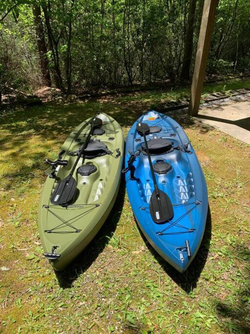 Cabin Fever On Cartecay River إليجاي المظهر الخارجي الصورة