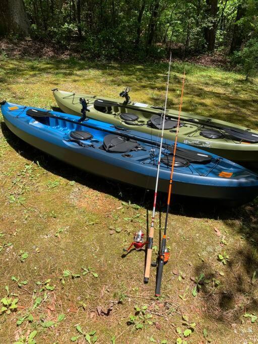 Cabin Fever On Cartecay River إليجاي المظهر الخارجي الصورة