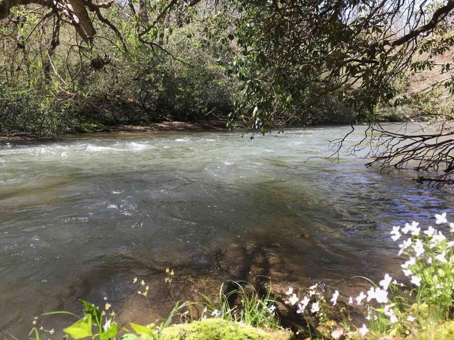 Cabin Fever On Cartecay River إليجاي المظهر الخارجي الصورة