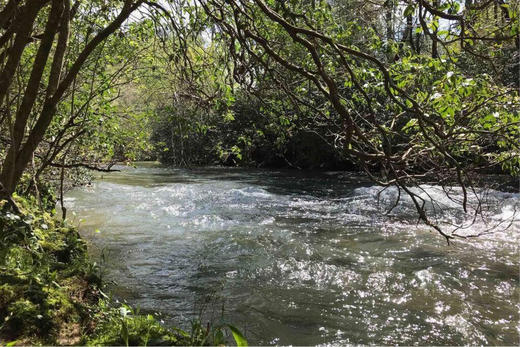 Cabin Fever On Cartecay River إليجاي المظهر الخارجي الصورة
