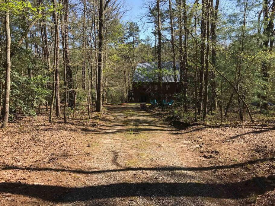 Cabin Fever On Cartecay River إليجاي المظهر الخارجي الصورة